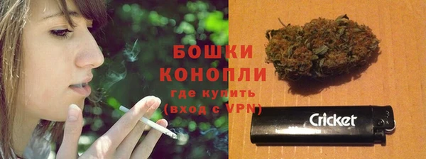 СК Аркадак