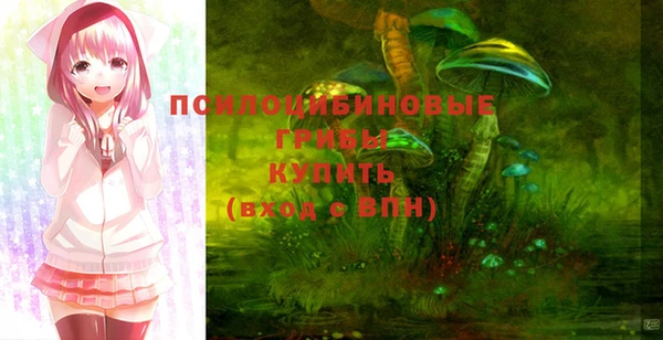 СК Аркадак